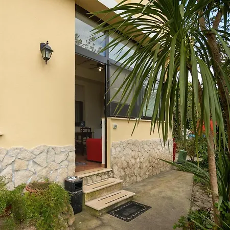 Asfodelo * Villacidro